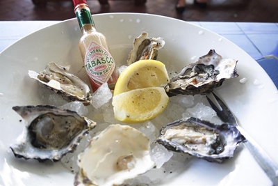 Enjoy a rocking line-up at Oyster Festival
